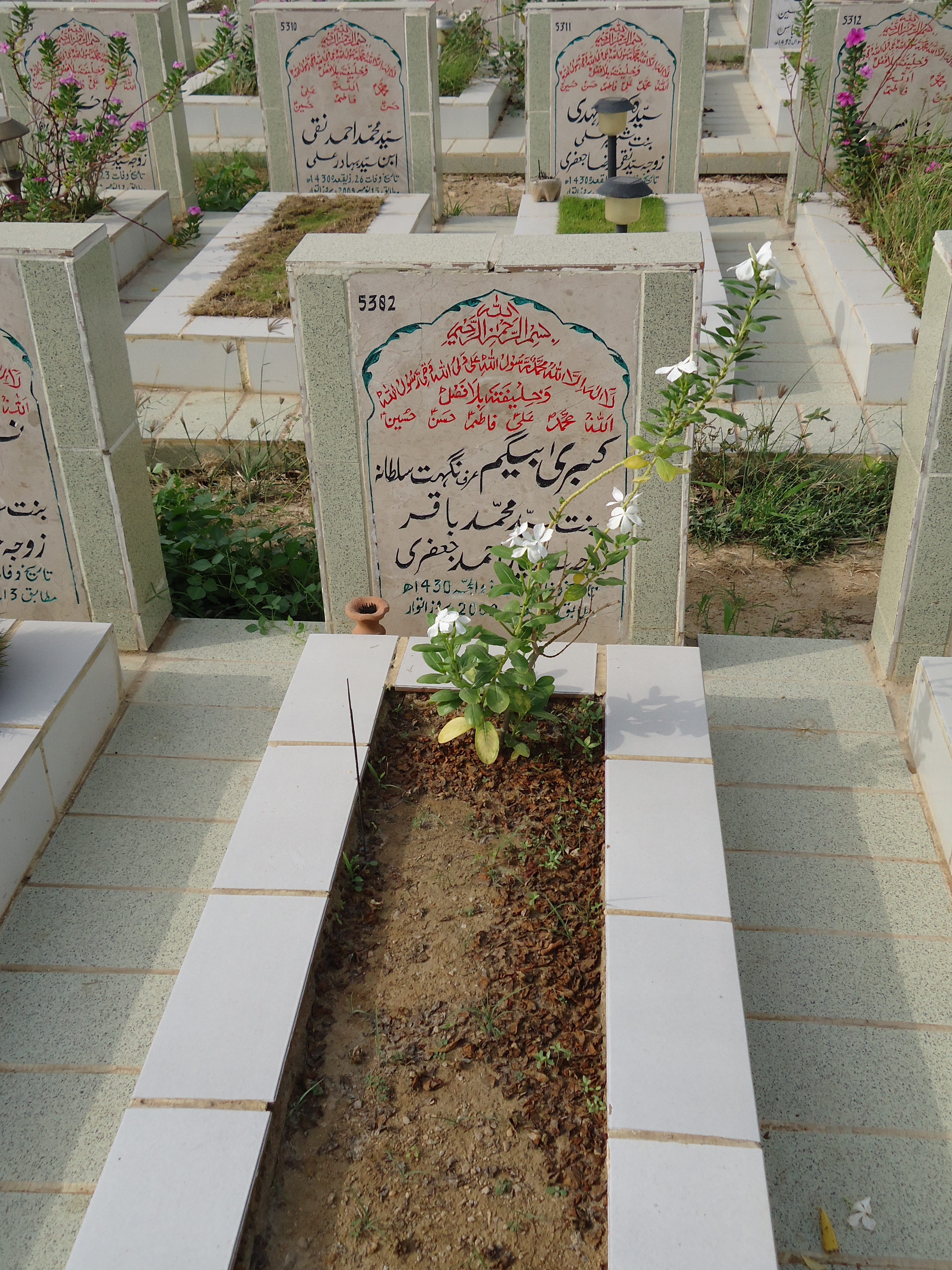 5381 – Naseem Fatima Jaffery